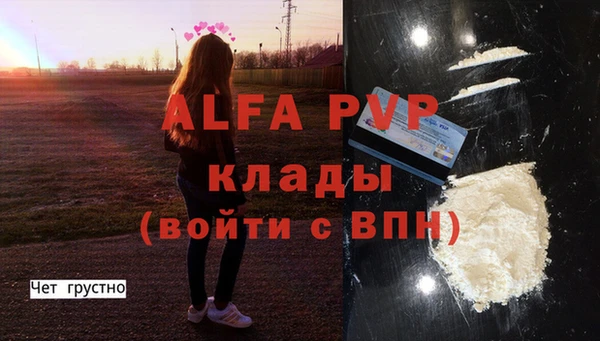 сатива Алзамай