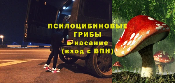 прущий лед Арсеньев