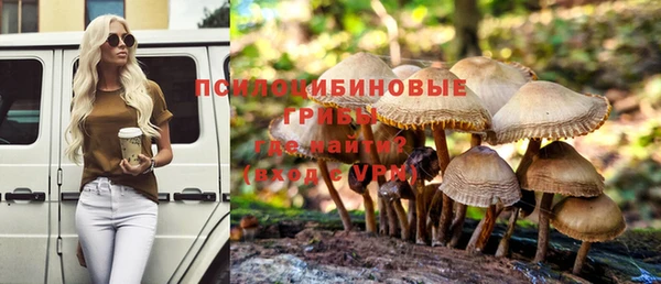 прущий лед Арсеньев