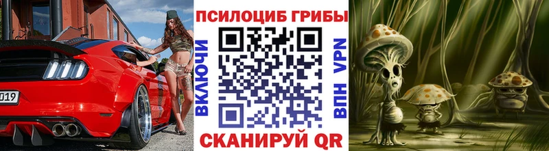 Псилоцибиновые грибы Psilocybe  Курганинск 