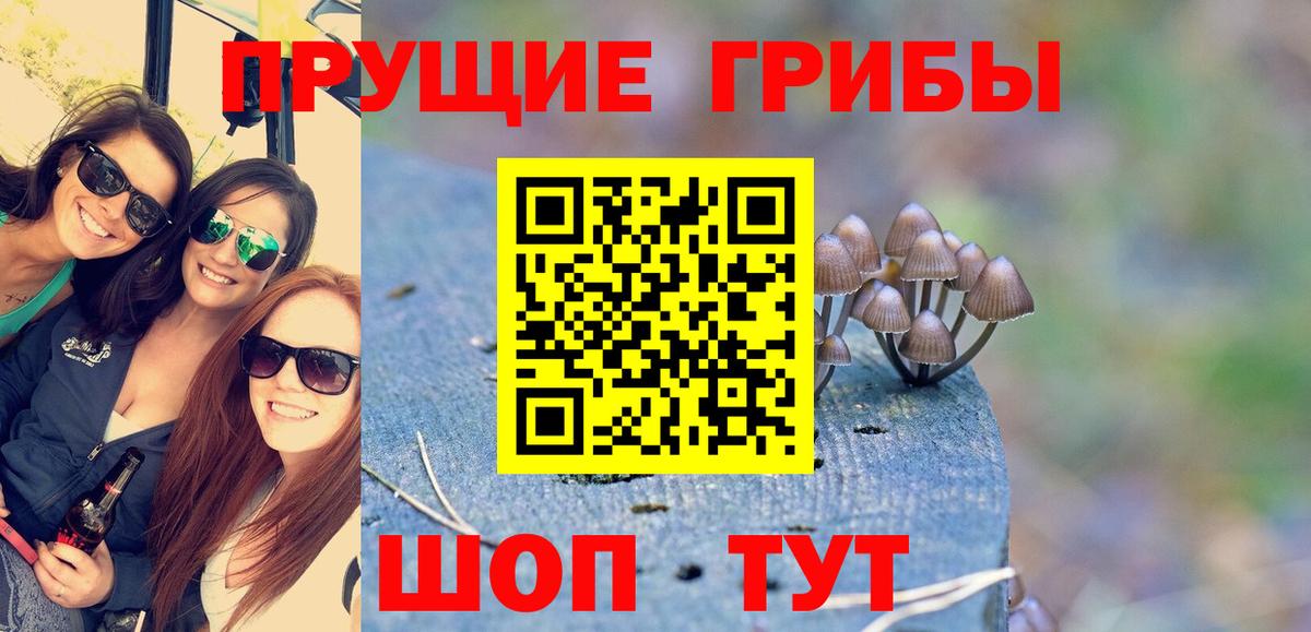 Галлюциногенные грибы ЛСД  Галлюциногенные грибы ЛСД  где найти наркотики  Вход с VPN  Курганинск 