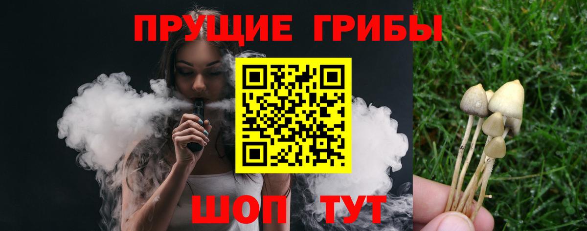 Псилоцибиновые грибы MAGIC MUSHROOMS Курганинск