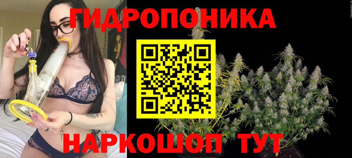 Конопля LSD WEED  Бошки Шишки SATIVA & INDICA  Бошки Шишки план  Курганинск  Бошки Шишки тримм  Вход с VPN 